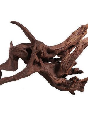 Mangrove Akvaryum Kütüğü XXL (1)