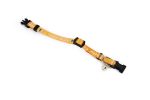 Beeztees Yavru Kedi Tasması 23 Cm Turuncu - Görsel 4