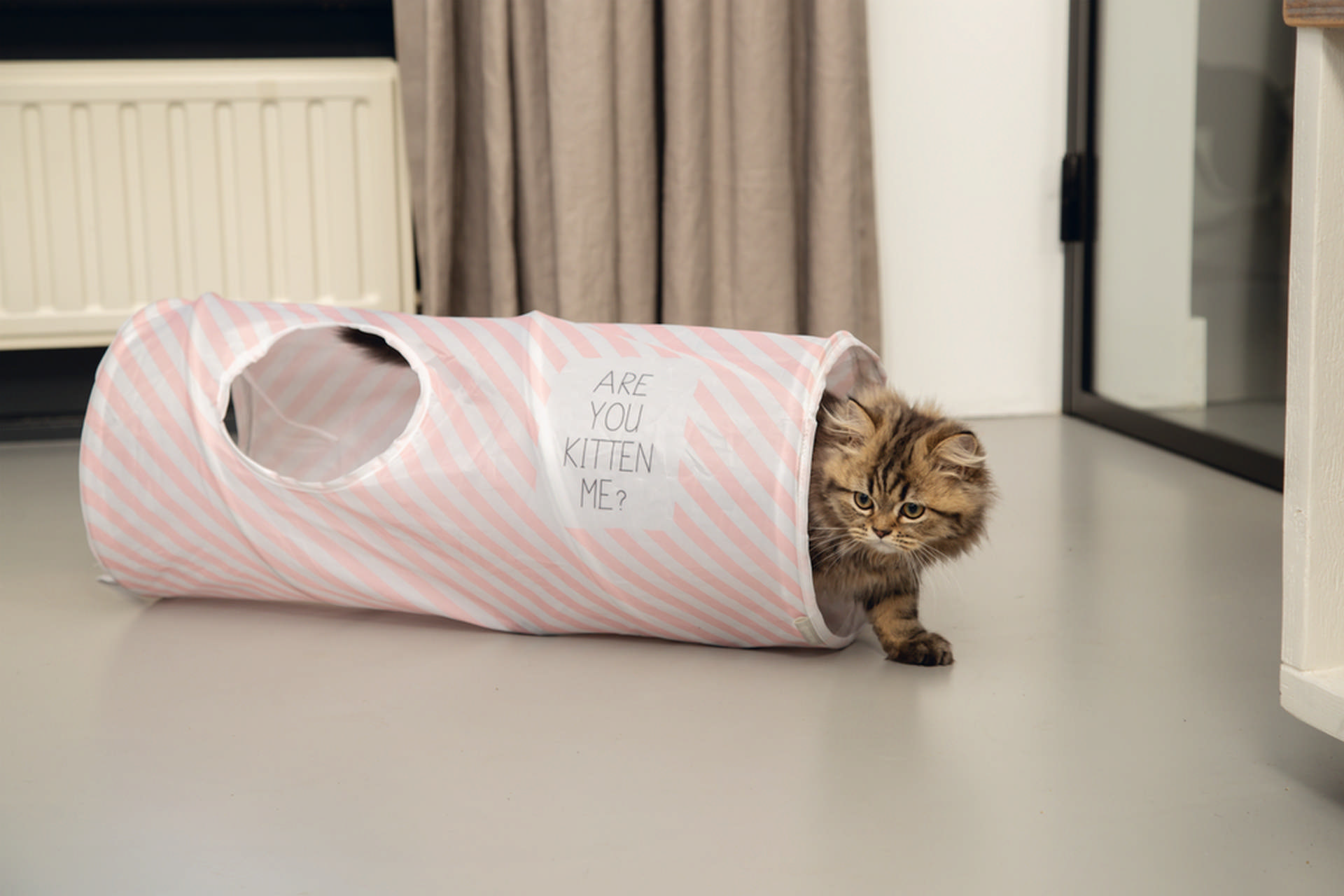 992885_beeztees-yavru-kedi-oyun-tuneli-60x24x24cm-kedi-tneli-ve-agility-beeztees-20589-54-B.jpg Beeztees Kedi Tüneli Pembe 60*24*24cm - Görsel 4