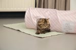 Beeztees Kedi Tüneli Pembe 60*24*24cm - Görsel 3
