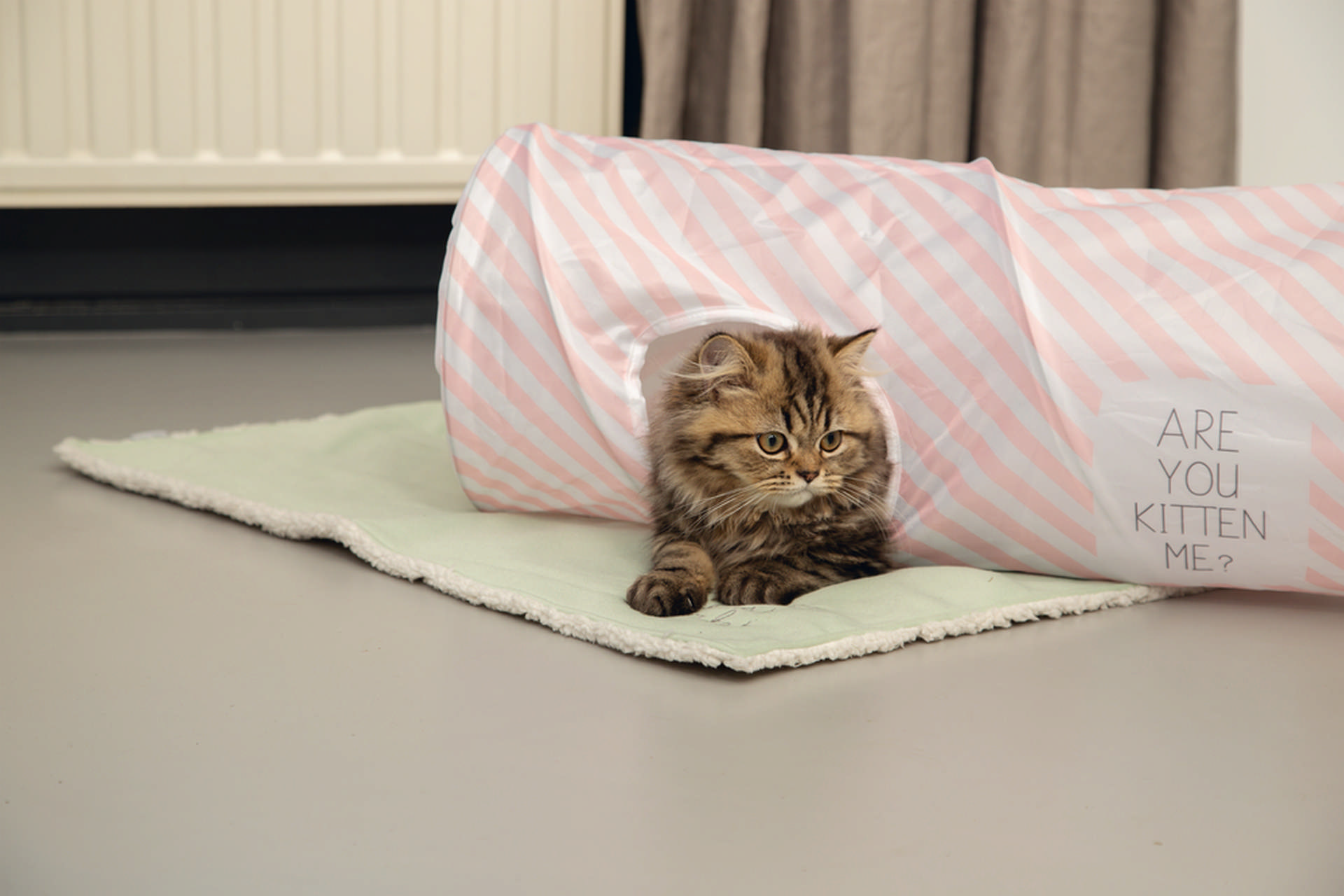 992885_beeztees-yavru-kedi-oyun-tuneli-60x24x24cm-kedi-tneli-ve-agility-beeztees-20591-54-B.jpg Beeztees Kedi Tüneli Pembe 60*24*24cm - Görsel 3