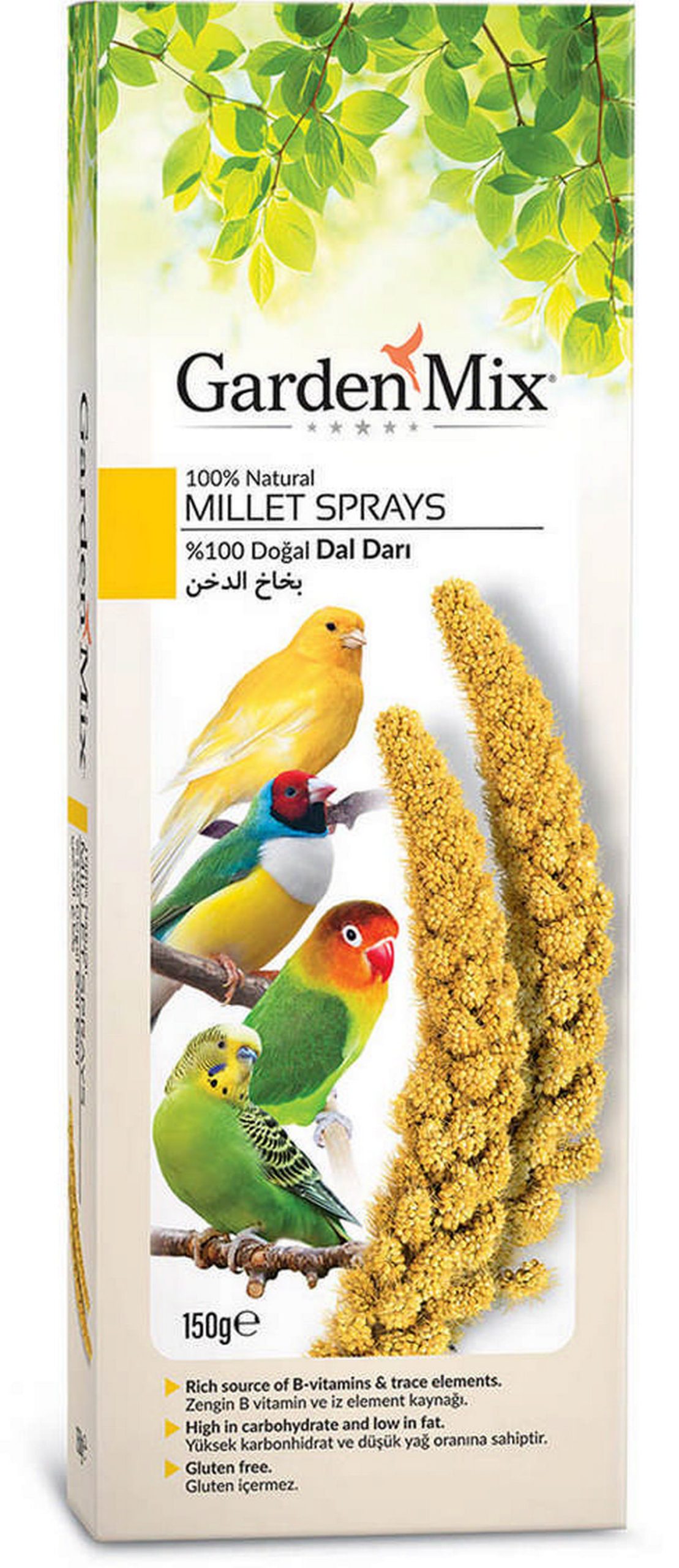 993007_53982862.jpg Gardenmix Platin Sarı Dal Darı - Görsel 1