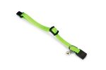 Beeztees Yavru Kedi Tasması 23 Cm Yeşil - Görsel 4
