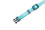 Beeztees Yavru Köpek Tasması 6 Lı Set 25 Cm - Görsel 6