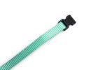 Beeztees Yavru Köpek Tasması 6 Lı Set 25 Cm - Görsel 9