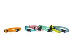 Beeztees Yavru Köpek Tasması 6 Lı Set 25 Cm - Görsel 3