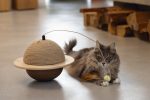 Beeztees DBL Kedi Tırmalama ve Oyuncağı, 29,5x29,5x20cm - Görsel 5