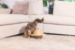 Beeztees DBL Kedi Tırmalama ve Oyuncağı, 29,5x29,5x20cm - Görsel 6