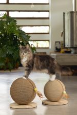 Beeztees DBL Kedi Tırmalama ve Oyuncağı, 30x30x27cm - Görsel 3