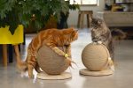 Beeztees DBL Kedi Tırmalama ve Oyuncağı, 30x30x27cm - Görsel 9