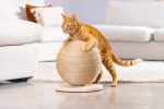 Beeztees DBL Kedi Tırmalama ve Oyuncağı, 30x30x27cm - Görsel 10
