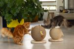 Beeztees DBL Kedi Tırmalama ve Oyuncağı, 30x31x31,5cm - Görsel 8