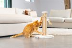 Beeztees DBL Kedi Tırmalama ve Oyuncağı, Açık Gri, 35x35x50cm - Görsel 3