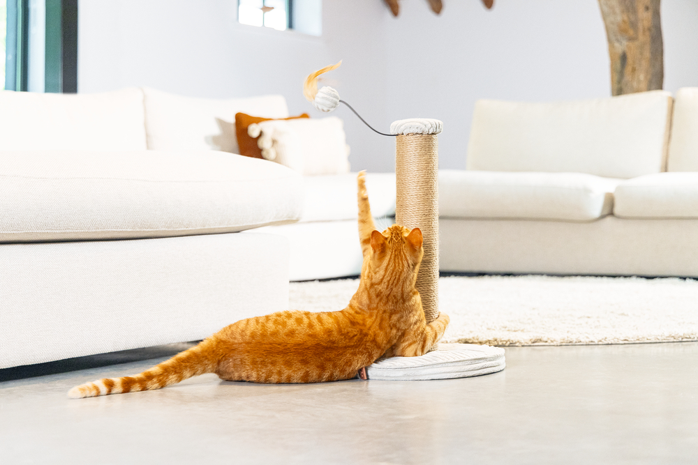 beeztees-dbl-kedi-tirmalama-ve-oyuncagi-acik-gri-35x35x50cm-kedi-trmalama-tahtalar-beeztees-23018-47-B.jpg Beeztees DBL Kedi Tırmalama ve Oyuncağı, Açık Gri, 35x35x50cm - Görsel 4