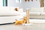 Beeztees DBL Kedi Tırmalama ve Oyuncağı, Açık Gri, 35x35x50cm - Görsel 5