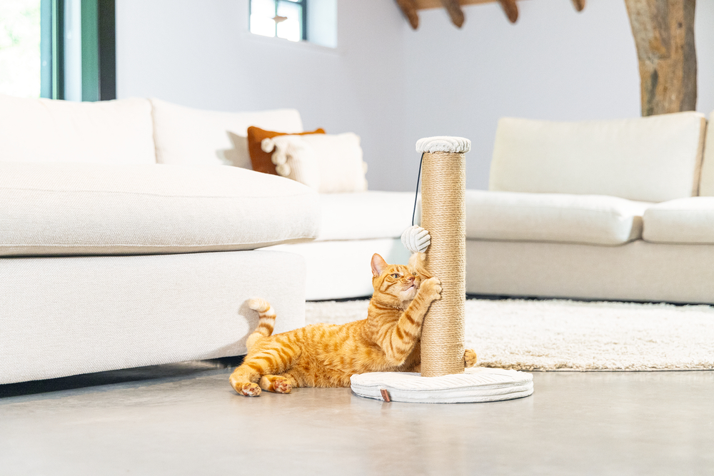 beeztees-dbl-kedi-tirmalama-ve-oyuncagi-acik-gri-35x35x50cm-kedi-trmalama-tahtalar-beeztees-23019-47-B.jpg Beeztees DBL Kedi Tırmalama ve Oyuncağı, Açık Gri, 35x35x50cm - Görsel 5