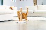 Beeztees DBL Kedi Tırmalama ve Oyuncağı, Açık Gri, 35x35x50cm - Görsel 6