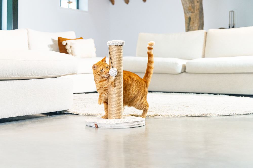 beeztees-dbl-kedi-tirmalama-ve-oyuncagi-acik-gri-35x35x50cm-kedi-trmalama-tahtalar-beeztees-23021-47-B.jpg Beeztees DBL Kedi Tırmalama ve Oyuncağı, Açık Gri, 35x35x50cm - Görsel 6