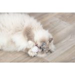 Trixie Kedi Oyuncağı, Dondurma ve Kek Şeklinde, Peluş, Kediotlu 7cm - Görsel 2