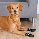 Trixie Köpek Çorabı Kaymaz L-XL 2 Adet Siyah - Görsel 2