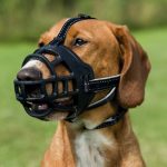 Trixie Esnek Silikon Köpek Ağızlığı S - Görsel 3