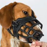 Trixie Esnek Silikon Köpek Ağızlığı S - Görsel 6