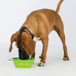 Trixie Esnek Silikon Köpek Ağızlığı S - Görsel 8