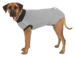 Köpekler İçin Koruyucu Gövde Kıyafeti S-M 40cm Gri - Görsel 3