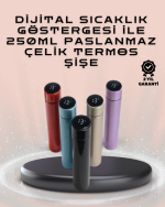 250ml LED Ekranlı Paslanmaz Çelik Akıllı Termos - Görsel 5