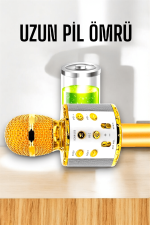 Kablosuz Bluetooth Karaoke Mikrofon USB ve AUX Girişli, Yüksek Ses Kalitesi - Görsel 3