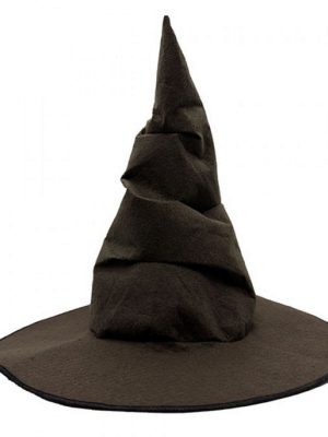 Harry Potter Seçmen Şapkası Çocuk Boy