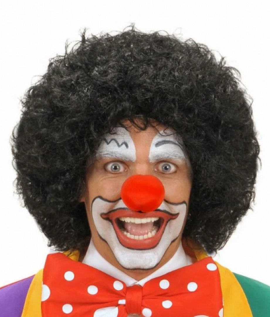 1221492_Siyah-Renk-Kivircik-Afro-Bonus-P-resim-4230.png Siyah Renk Kıvırcık Afro Bonus Peruk Saç ve Kırmızı Sünger Burun Seti - Görsel 1