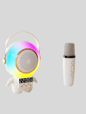 TK-66 KARAOKE SPEAKER