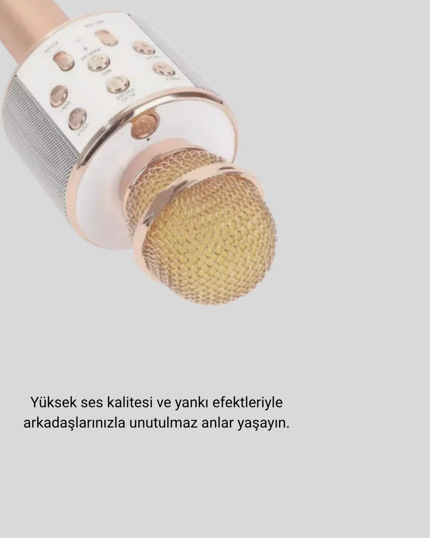 1241305_4-144.png Kablosuz Karaoke Mikrofon USB AUX Destekli Parti ve Eğlence İçin - Görsel 1