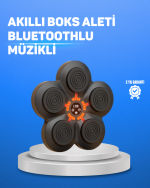 Müzikli Boks Duvar Paneli Akıllı Işık Sistemli Refleks ve Kondisyon Aleti - Görsel 5