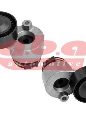 GERME MAKARASİ KANALLİ V KAYİSİ ALMERA IIN16 -ALMERA II HatchbackN16 -KUBISTARX76 -KUBISTAR KastenX8