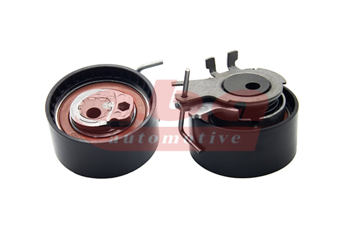 1804777_100058_307838158.jpg EKSANTRİK GERGİ RULMANI CLIO II (01-)- CLIO III (05-) 1.2 16V-KNG 1.2 16V (01-)-LOGAN-SANDERO1.2 - Görsel 1
