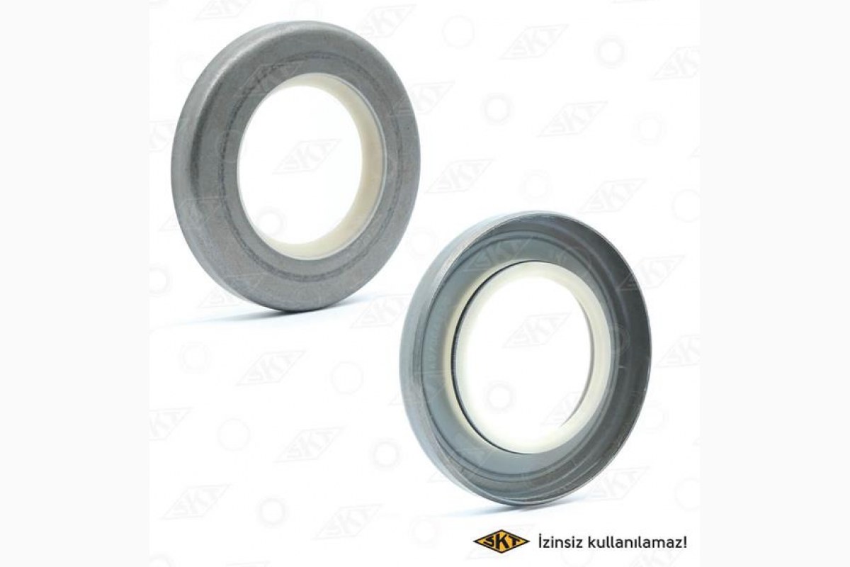1820367_21912_168402724.jpg KEÇE EKSANTRİK MİLİ FIAT KUŞ SERİSİ (30X52X7) KUTU (20) - Görsel 1