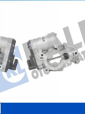 EGR VALFİ MASTER III-LGN III-TRAFIC-VIVARO-QASHQAI M9R-M9T