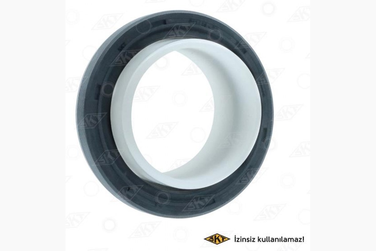 1829333_949055_834548222.jpg KEÇE KRANK ÖN RENAULT CLIO KANGOO MEGANE 1.5 DCI (35X47X7) KUTU (10) - Görsel 1