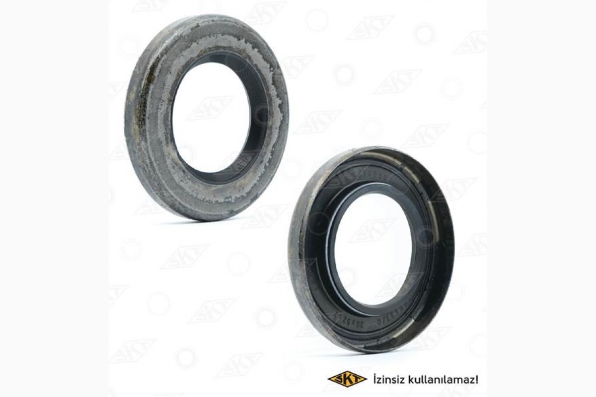 1842152_21911_451654848.jpg KEÇE EKSANTRİK MİLİ FIAT KUŞ SERİSİ (30X52X7) KUTU (20) - Görsel 1