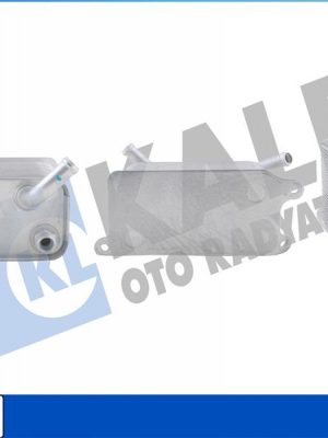 MOTOR YAĞ SOĞUTUCU VW T5 2.5 TDI 166x107x81