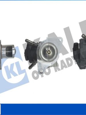 EGR VALF BMW N47 N57 E60 E87 E90 E84 E83 E70 E71 F20 F01