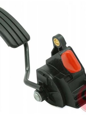 GAZ PEDALI KOMPLE RENAULT MEGANE II 1.5DCI 1.9DCI 1.6-16V 2000 16V