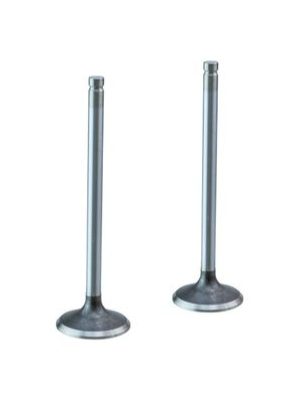 EMME EGZOZ SUBAP TAKIMI BMW B46 - B48 2.0 Euro 6 16V