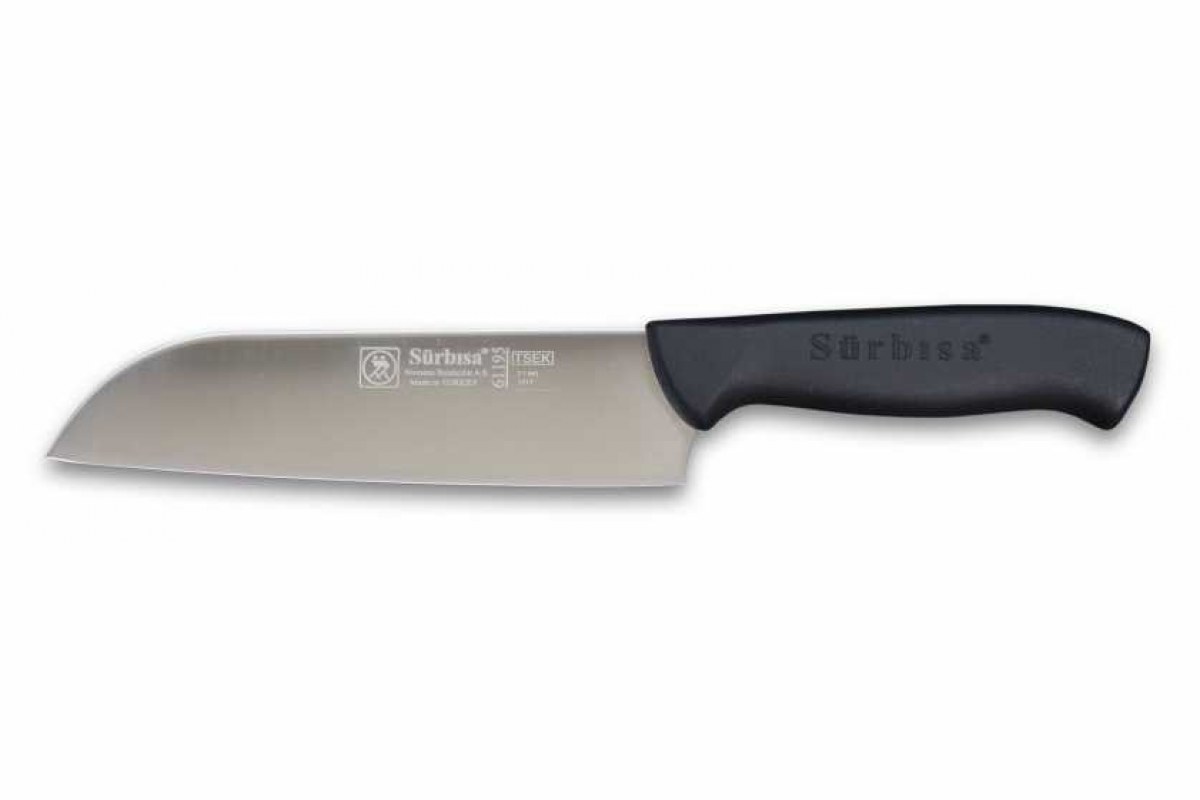 1957013_1135930_61195-sef-asci-bicagi-ef-a-baklar-srbsa-pimsiz-modeller-321-21-B.jpg 61195 MAVİ ŞEF AŞÇI BIÇAĞI - TTA200 - SURBİSA - Görsel 1