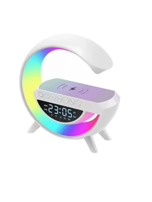 BT3401 GOOGLE DİGİTAL