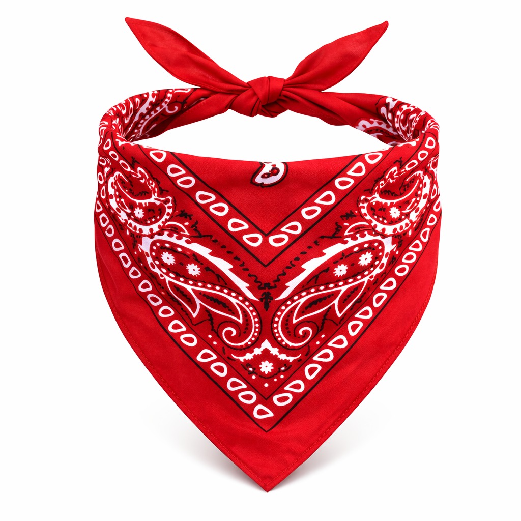 2142821_kirmizi-kovboy-fulari-cocuk-bandana-western-desenli-boyun-fulari-resim-5368.jpg Kırmızı Kovboy Fuları Çocuk Bandana Western Desenli Boyun Fuları - Görsel 1