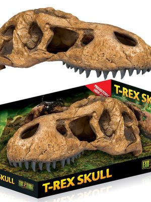 Exo Terra Trex Kafatası Şekilli Sürüngen Yuvası