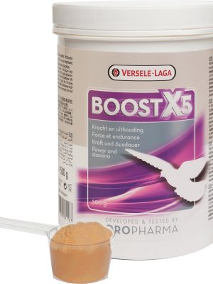VERSELE LAGA OR.BOOST X5 (YARIŞ GÜV.GÜÇ İÇİN)500 G